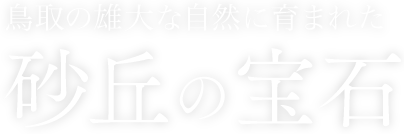 鳥取の雄大な自然に育まれた砂丘の宝石